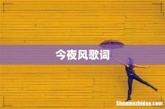 今夜风歌词
