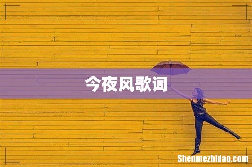 今夜风歌词
