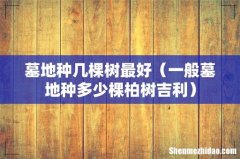 一般墓地种多少棵柏树吉利 墓地种几棵树最好