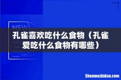孔雀爱吃什么食物有哪些 孔雀喜欢吃什么食物