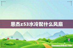 恩杰z53水冷配什么风扇