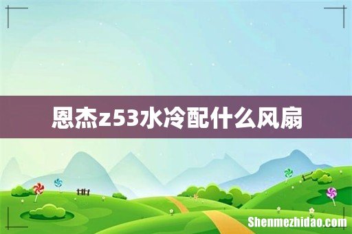 恩杰z53水冷配什么风扇