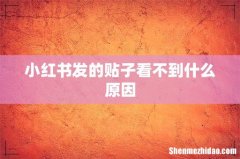 小红书发的贴子看不到什么原因