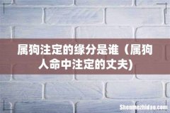 属狗注定的缘分是谁（属狗人命中注定的丈夫)