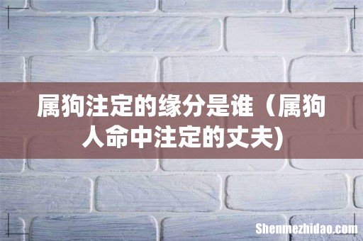 属狗注定的缘分是谁（属狗人命中注定的丈夫)