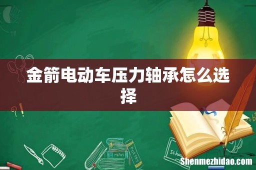 金箭电动车压力轴承怎么选择