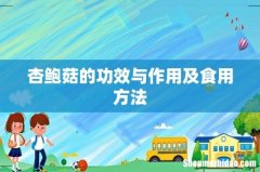 杏鲍菇的功效与作用及食用方法