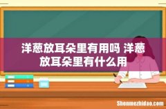 洋葱放耳朵里有用吗 洋葱放耳朵里有什么用