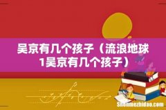 流浪地球1吴京有几个孩子 吴京有几个孩子