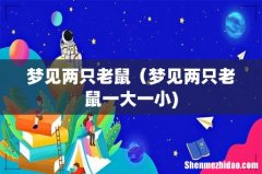梦见两只老鼠（梦见两只老鼠一大一小)