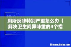 解决卫生间异味重的4个措施 厕所反味特别严重怎么办