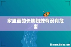 家里面的长脚蜘蛛有没有危害