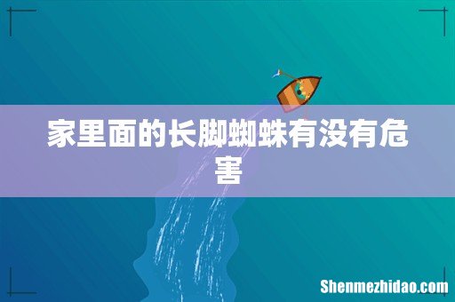 家里面的长脚蜘蛛有没有危害