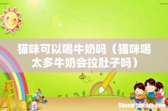 猫咪喝太多牛奶会拉肚子吗 猫咪可以喝牛奶吗