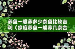 家庭养鱼一般养几条合适 养鱼一般养多少条鱼比较吉利