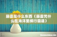 藤壶凭什么在海洋里横行霸道 藤壶是什么东西