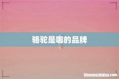 骆驼是哪的品牌
