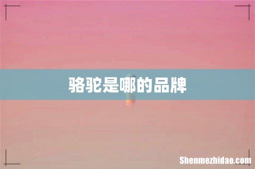 骆驼是哪的品牌