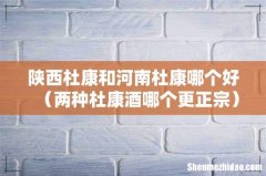 两种杜康酒哪个更正宗 陕西杜康和河南杜康哪个好