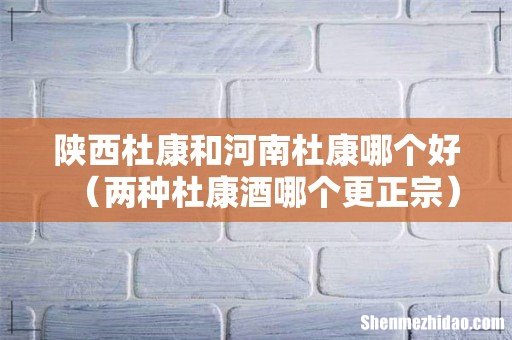两种杜康酒哪个更正宗 陕西杜康和河南杜康哪个好