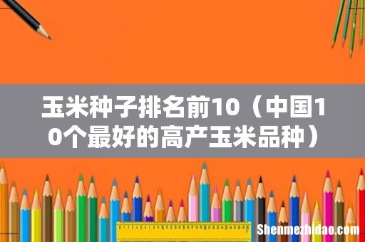 中国10个最好的高产玉米品种 玉米种子排名前10