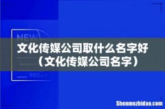文化传媒公司名字 文化传媒公司取什么名字好