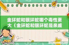 金环蛇和银环蛇是亲戚吗 金环蛇和银环蛇哪个毒性更大