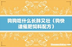 狗快速催肥饲料配方 狗狗吃什么长胖又壮
