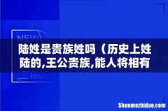 历史上姓陆的,王公贵族,能人将相有哪些 陆姓是贵族姓吗