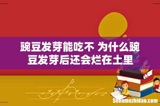 豌豆发芽能吃不 为什么豌豆发芽后还会烂在土里