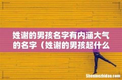姓谢的男孩起什么名字 姓谢的男孩名字有内涵大气的名字