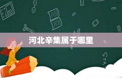 河北辛集属于哪里