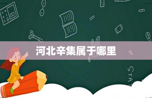 河北辛集属于哪里