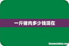 一斤猪肉多少钱现在