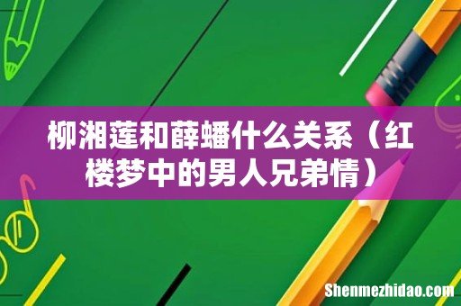 红楼梦中的男人兄弟情 柳湘莲和薛蟠什么关系