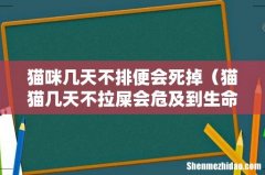 猫猫几天不拉屎会危及到生命 猫咪几天不排便会死掉