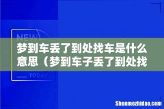 梦到车子丢了到处找车 梦到车丢了到处找车是什么意思