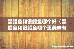 黑鳕鱼和银鳕鱼哪个更美味有营养 黑鳕鱼和银鳕鱼哪个好