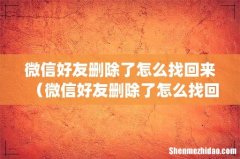 微信好友删除了怎么找回来（微信好友删除了怎么找回来聊天记录)