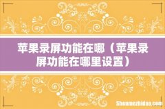 苹果录屏功能在哪里设置 苹果录屏功能在哪