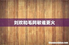 刘欢和毛阿敏谁更火