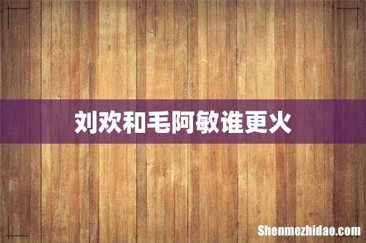 刘欢和毛阿敏谁更火