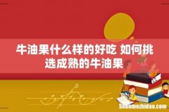 牛油果什么样的好吃 如何挑选成熟的牛油果