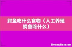 人工养殖鳄鱼吃什么 鳄鱼吃什么食物
