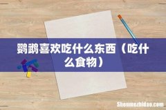 吃什么食物 鹦鹉喜欢吃什么东西