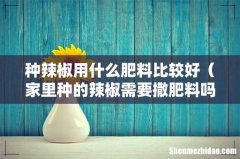 家里种的辣椒需要撒肥料吗 种辣椒用什么肥料比较好