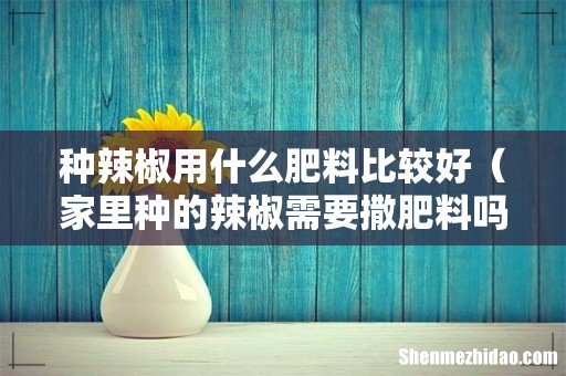 家里种的辣椒需要撒肥料吗 种辣椒用什么肥料比较好