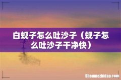 蚬子怎么吐沙子干净快 白蚬子怎么吐沙子