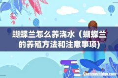 蝴蝶兰怎么养浇水（蝴蝶兰的养殖方法和注意事项)