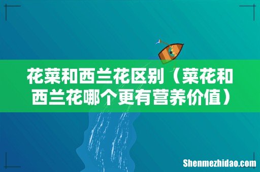菜花和西兰花哪个更有营养价值 花菜和西兰花区别